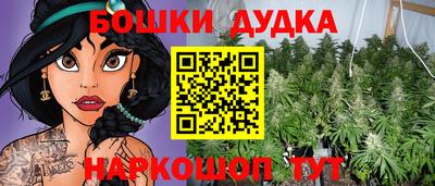 крисы Усть-Джегута