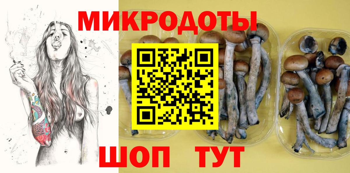 Псилоцибиновые грибы ЛСД Липецк